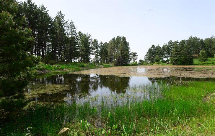 Uşak'ın gizli bahçesi keşfedilmeyi bekliyor G4