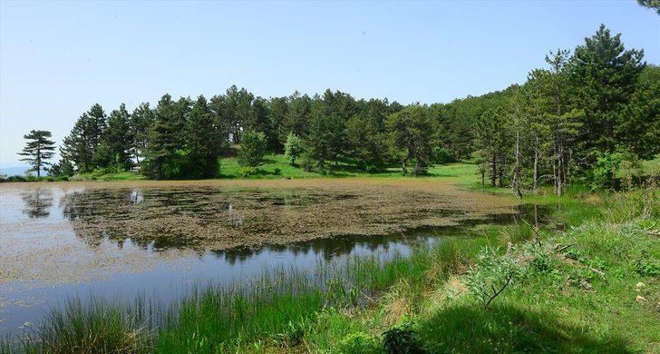 Uşak'ın gizli bahçesi keşfedilmeyi bekliyor G5