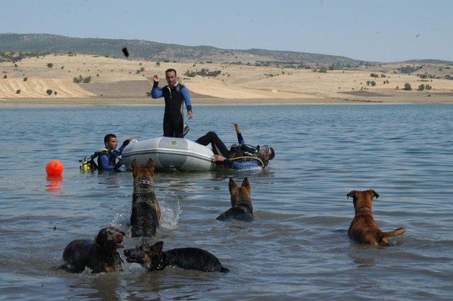 Ankara İtfaiye Daire Başkanlığı başkentlilere göl, gölet ve barajlara girmeyin uyarısında bulundu