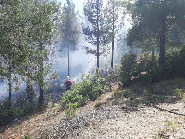 Acıpayam’da çıkan orman yangını 2 saatte söndürüldü