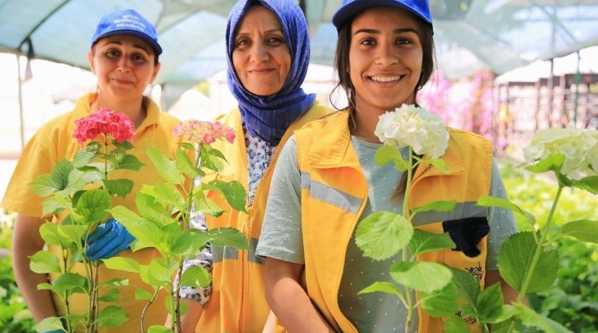 Aydın &ccedil;i&ccedil;eklerle g&uuml;zelleşiyor