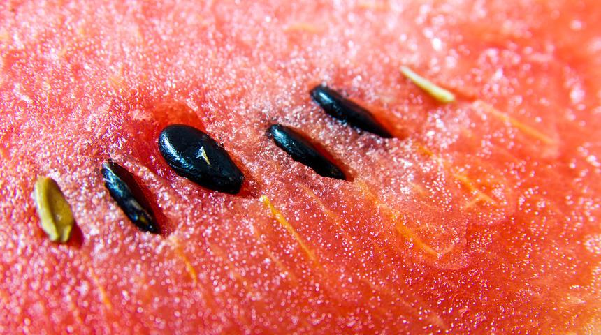 Bundan sonra &ccedil;&ouml;p olmayacak! Karpuz &ccedil;ekirdeğinin 7 faydası