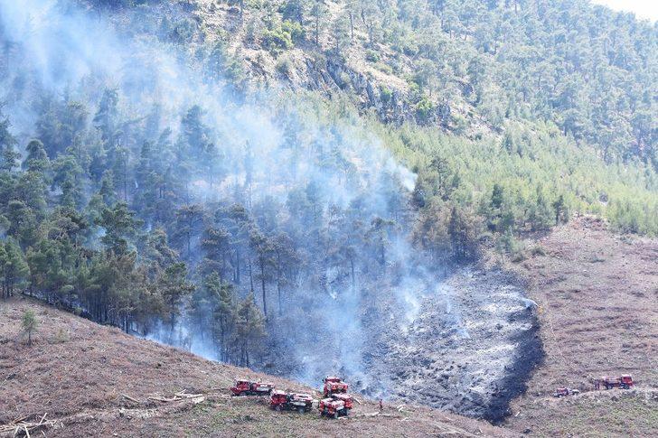 Muğla’da orman yangını G4