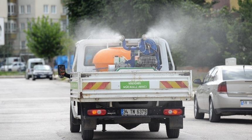 &Ccedil;orum&rsquo;da vekt&ouml;rel m&uuml;cadelede yoğun mesai