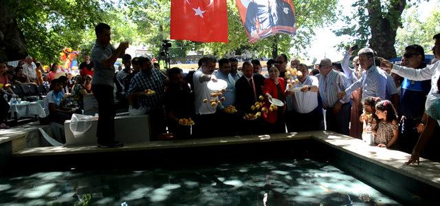 Mut Kayısı Festivali başladı