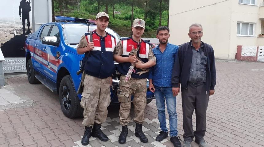 Yaralı ke&ccedil;iye şefkat eli