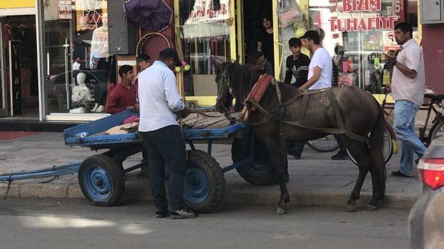 Kars’ta ürken at araca çarparak durdu