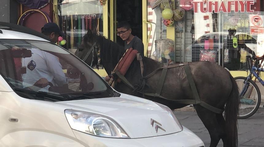 Kars&rsquo;ta &uuml;rken at araca &ccedil;arparak durdu