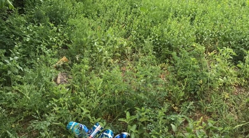 K&ouml;yl&uuml;lerin &ccedil;&ouml;p tepkisi