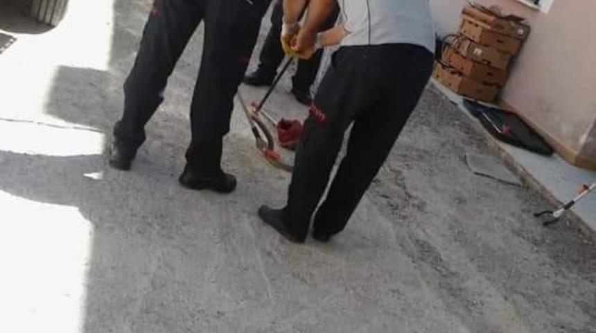 Develi’de eve dadanan yılanlar yakalandı