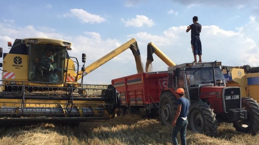 Sungurlu&rsquo;da ilk arpa hasadı yapıldı