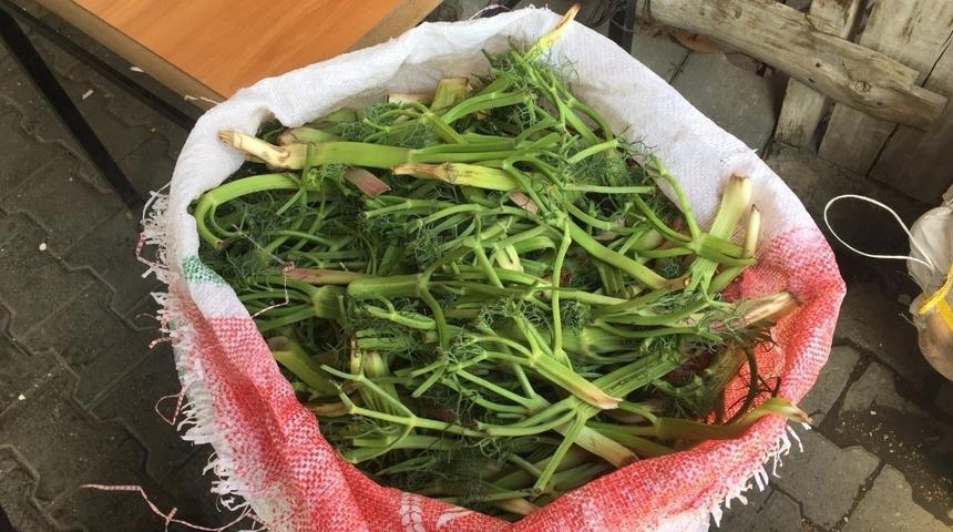 Sarıkamış&rsquo;ta &rsquo;&Ccedil;aşır&rsquo; tezgahlardaki yerini aldı