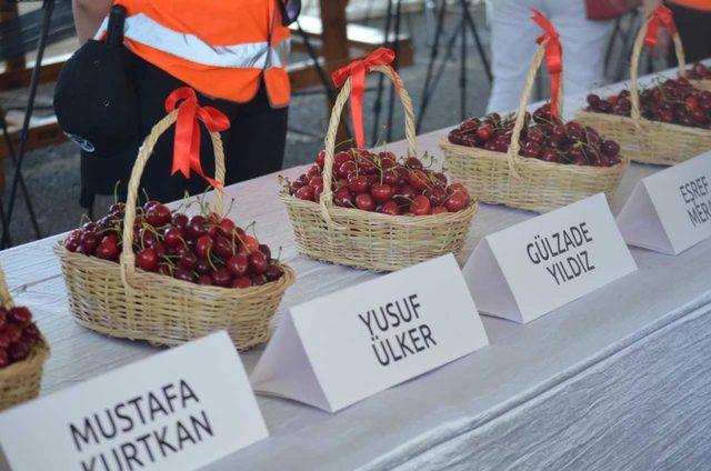 Tekirdağ'da en iyi 'kiraz' yarışması