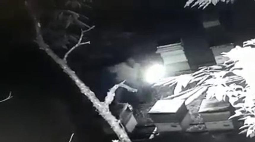 Arı kovanlarını tekmeleyerek devirdi