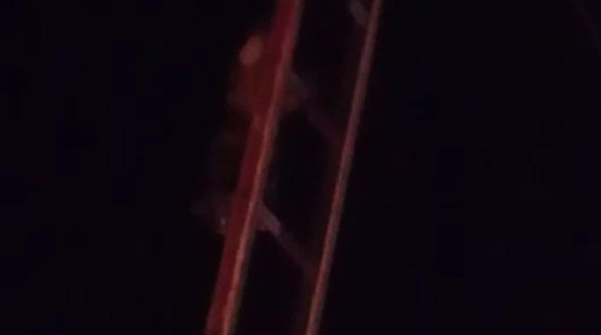 Direkte mahsur kalan kediyi itfaiye kurtardı