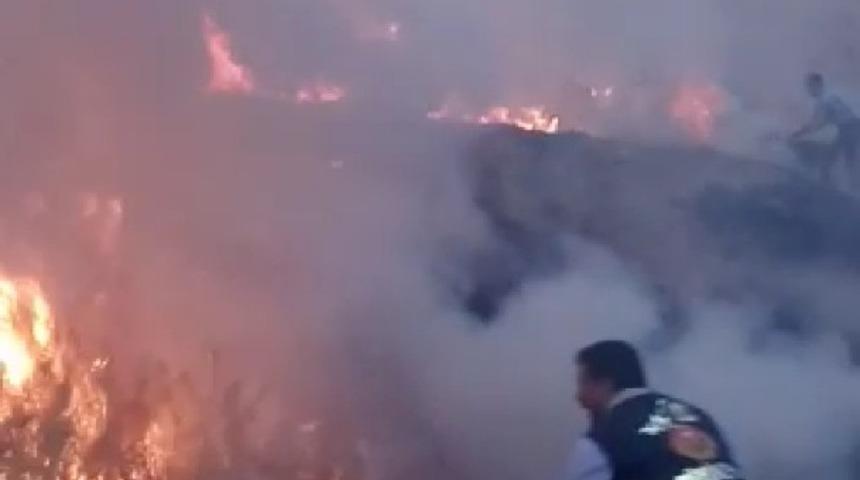 Van Kalesi&rsquo;nin g&uuml;neyinde ot yangını