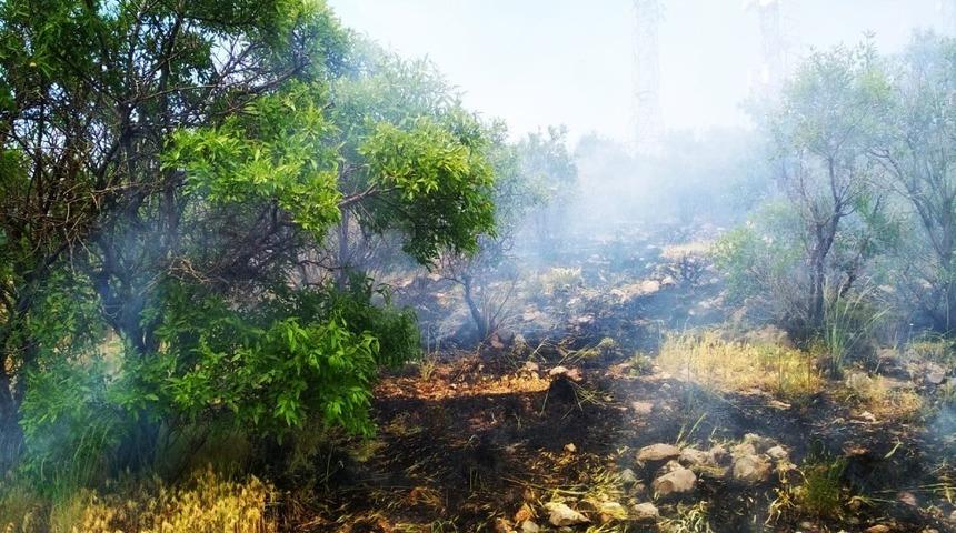 Pasinler&rsquo;de yangın korkuttu