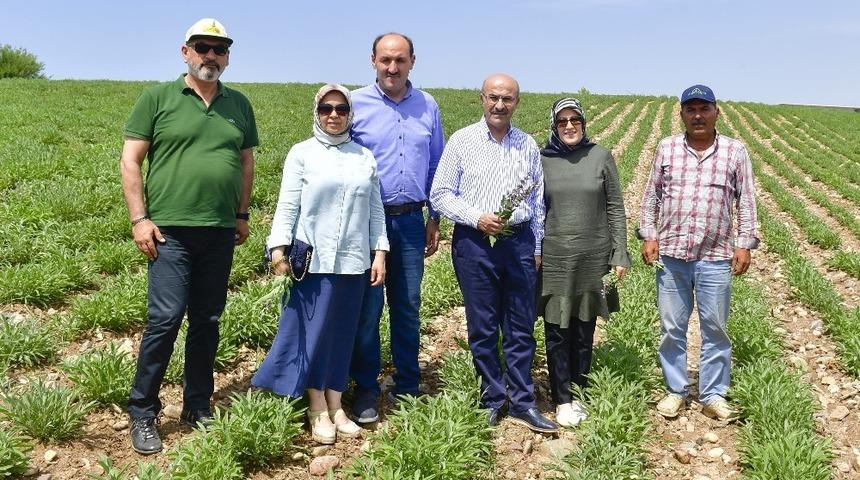 Adana’da tarımsal ürün çeşitliliği artıyor