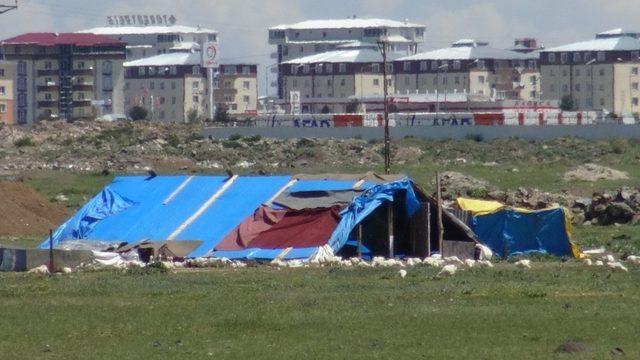 Dilenciler Kars’ı mesken tuttu