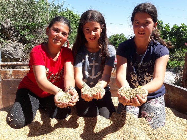 Anadolu’nun yerli buğdayı yüz güldürdü G3