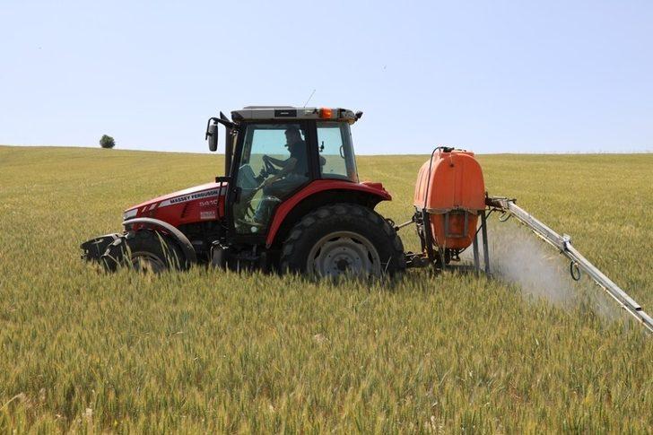 200 bin dekarlık tarım arazisinde ’süne’ mücadelesi G1