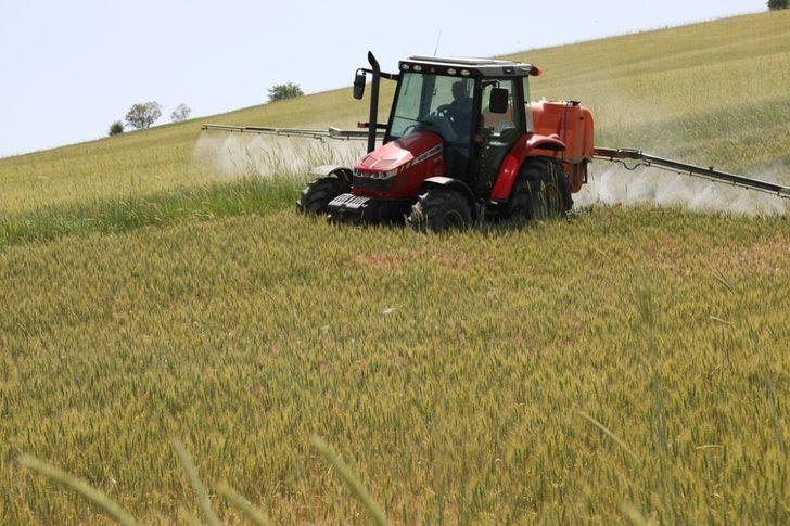 200 bin dekarlık tarım arazisinde ’süne’ mücadelesi G2