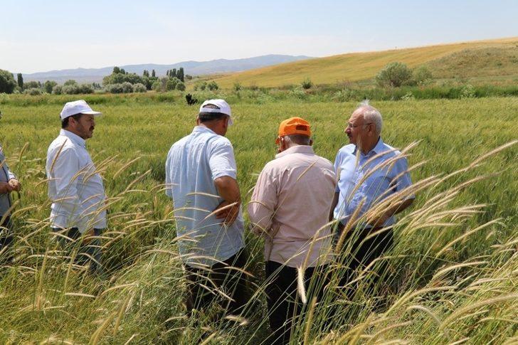 200 bin dekarlık tarım arazisinde ’süne’ mücadelesi G4