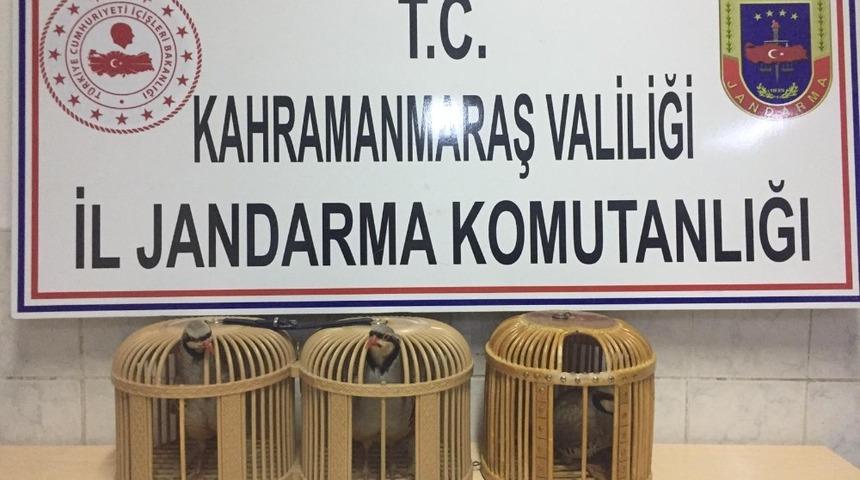Jandarma ka&ccedil;ak keklik avına ge&ccedil;it vermedi