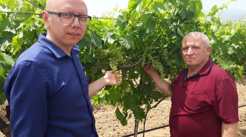 Hem ihracat&ccedil;ılara hem de &uuml;reticilere hizmet veriyorlar