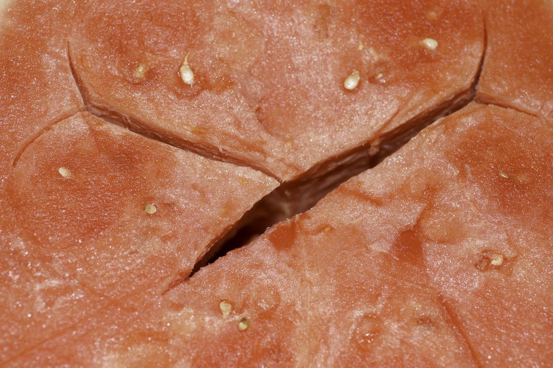 Karpuzun i&ccedil;inde bulunan &ccedil;atlaklar ne anlama geliyor?