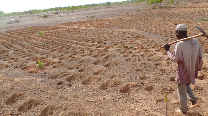 Yaptığı şeyle tek başına çölleşmenin önüne geçti!