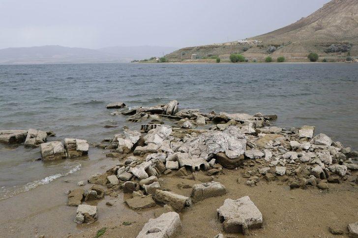 Sahilde korkutan görüntü! Yüzlercesi bu halde bulundu G3