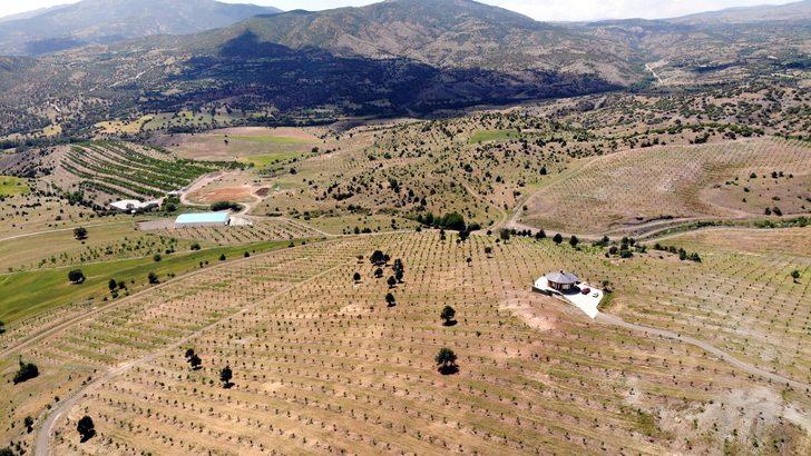 Bu ev 360 derece dönüyor! G1