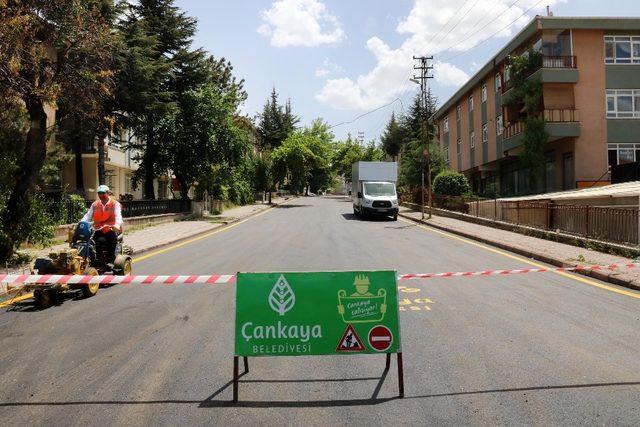 Çankaya’da asfalt çalışmaları tüm hızıyla sürüyor