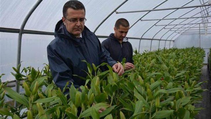 25 yaşında iş sahibi oldu, 12 ay hasat yapıp satıyor G1