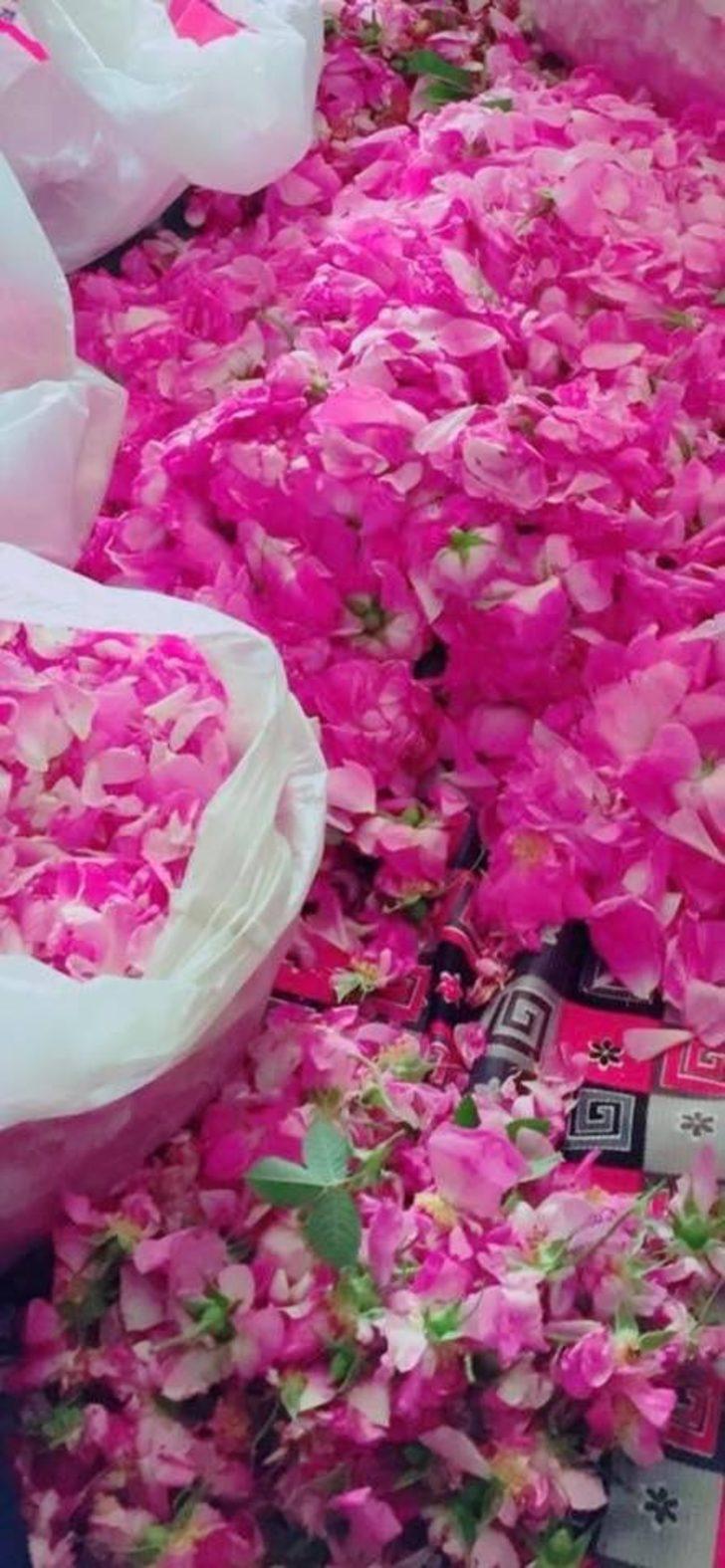 Tuzluca Belediyesi’nden tarım ve üretime tam destek G4