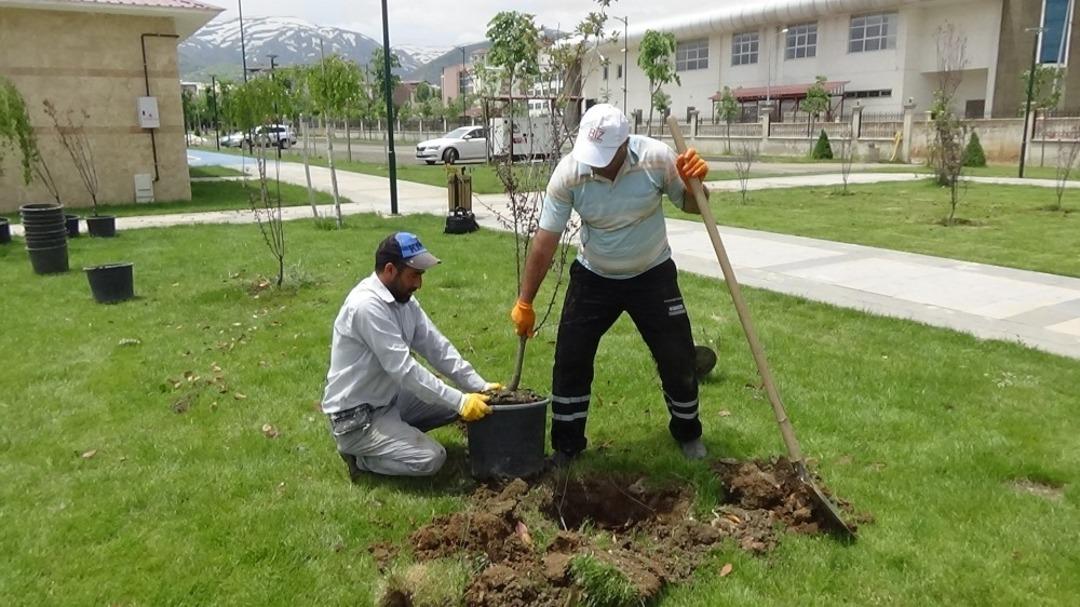 Muş Belediyesi kenti &ccedil;i&ccedil;eklerle s&uuml;sl&uuml;yor