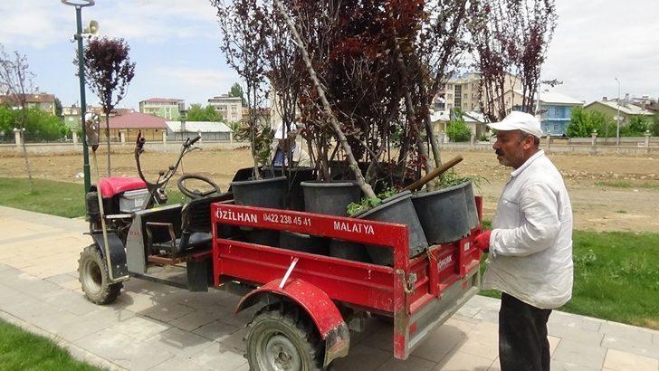 Muş Belediyesi kenti çiçeklerle süslüyor G2