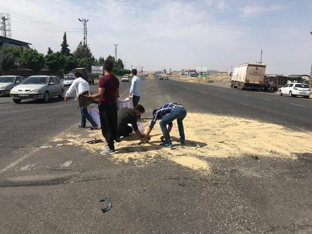 Şanlıurfa’da meydana gelen kazada arpa yola saçıldı