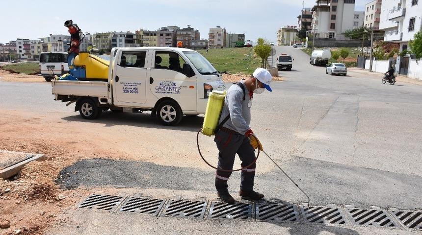 Büyükşehir, ilaçlama çalışmalarına hız verdi