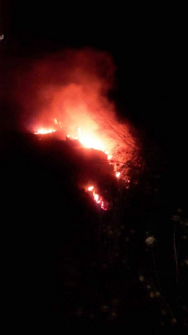 Burhaniye’ de çöplük yangınını itfaiye söndürdü