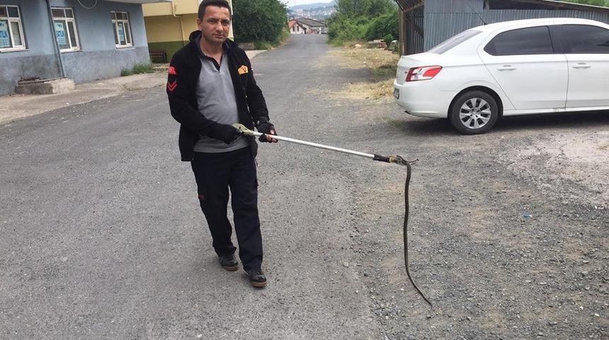 Kdz. Ereğli itfaiyesinde yılan mesaisi