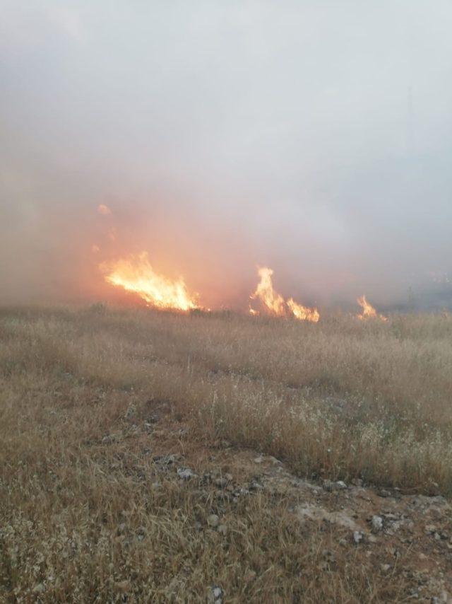 Mardin’de ekili tarlada yangın