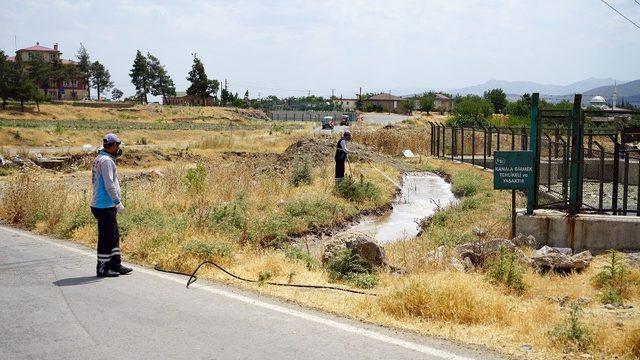 Kahramanmaraş’ta larva ile mücadele