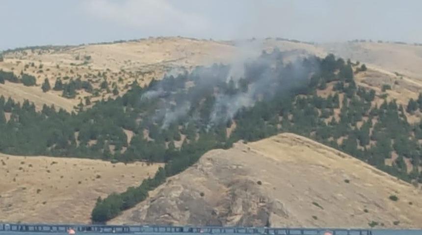 Ormanlık alanda yangın &ccedil;ıktı, 3 saatte kontrol altına alındı