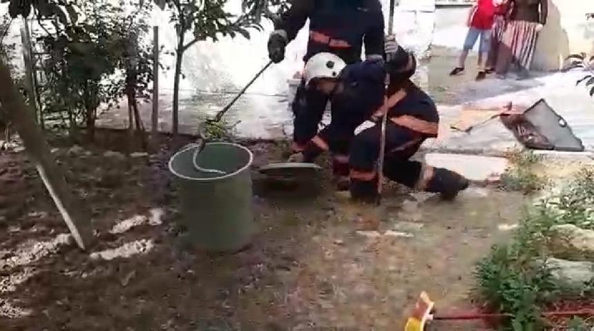 Evin bah&ccedil;esine giren yılan yakalanarak doğaya bırakıldı