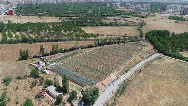 Yeşilyurt’tan yerli ve milli üretim seferberliğine destek