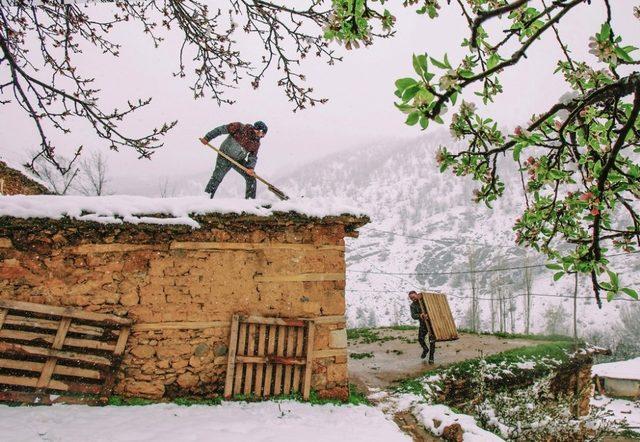 Fotoğraflarda ‘Yeşilyurt Çiçek Açtı’