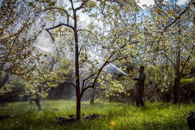 Fotoğraflarda ‘Yeşilyurt Çiçek Açtı’