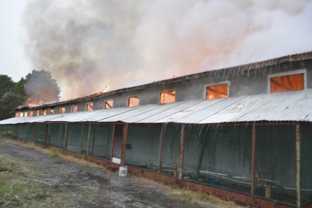 Yıldırım düşerek yangın çıkan çiftlikte 500 yavru hindi yandı